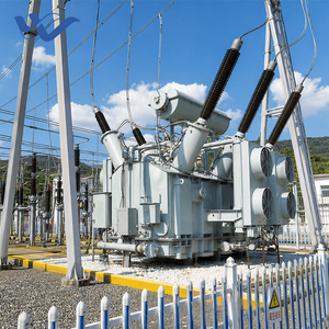 220kV Oil-Immersed Main Transformer